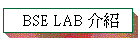 BSE LAB 