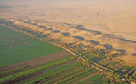 Egypt: the worlds biggest exporter of oranges