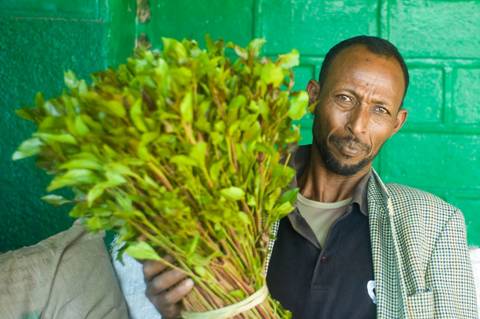 https://i0.wp.com/saxafimedia.com/wp-content/uploads/2022/08/Khat-in-Somaliland-2009.jpg?fit=1200%2C798&ssl=1