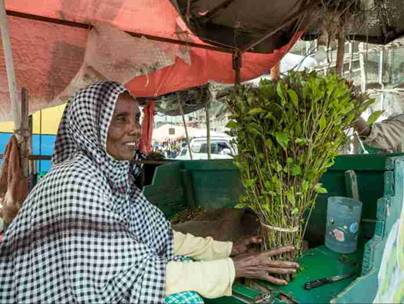 Governing Khat Drugs and Democracy in Somaliland