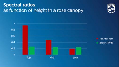 The relative amounts of red and green in PAR light