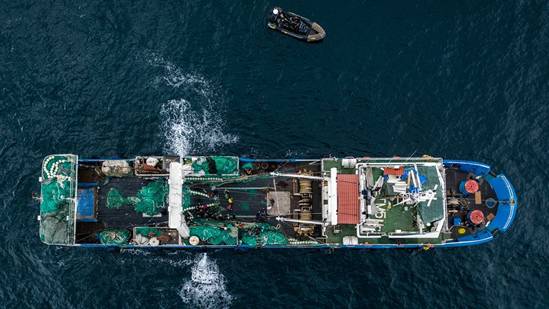 Hundreds of foreign fishing boats - both legal and illegal - ply the waters off the West African coastline (Credit: Fábio Nascimento/The Outlaw Ocean Project)