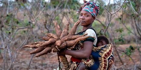 https://www.howwemadeitinafrica.com/wp-content/uploads/2020/07/PMI-Philafrica-cassava-800x400-1.jpg