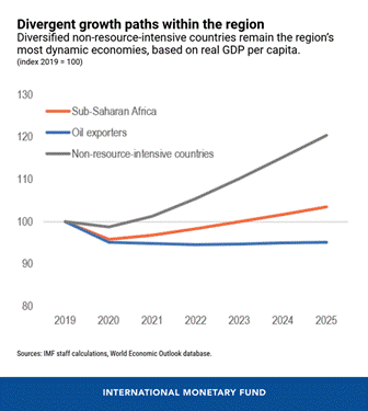 https://www.imf.org/-/media/Images/IMF/News/news-article-images/2021/eng-ssa-cf-apr-8-chart-2.ashx?h=615&w=550