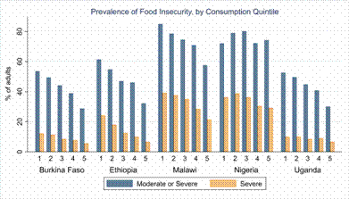 Prevalence of food insecurity by consumption quintile