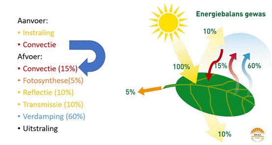 https://s3.eu-west-2.amazonaws.com/uploads-7e3kk3/11641/energiebelanspng.055f18e058e8.png