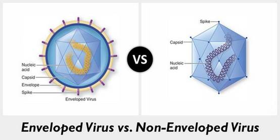 https://agfstorage.blob.core.windows.net/misc/HD_com/2020/06/11/virus.jpg